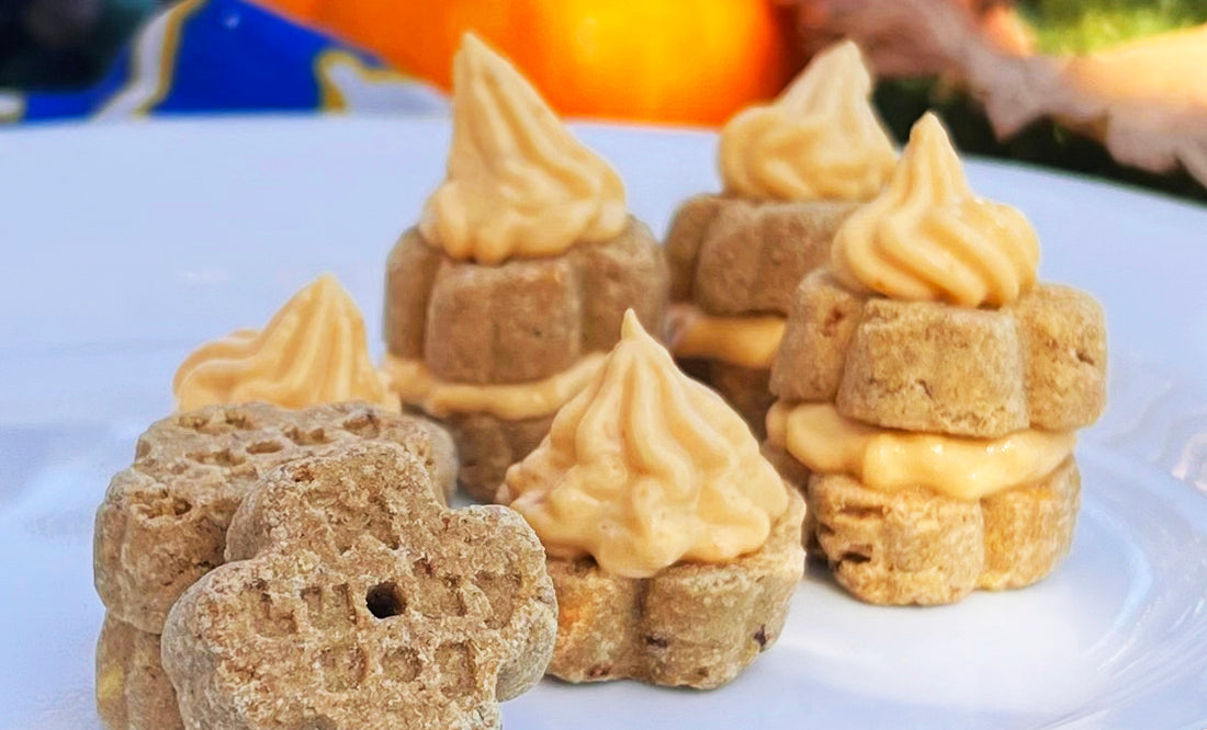 Dog-Friendly Sugar Free Pumpkin Frosting Recipe