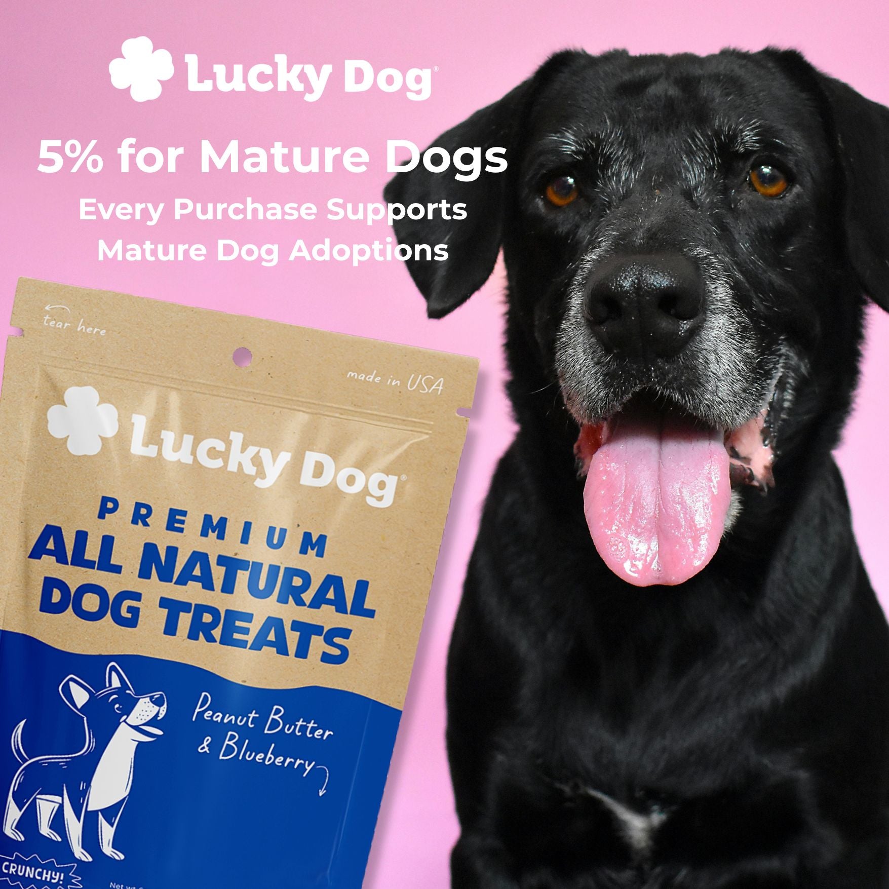 Lucky Dog® Crunchy Peanut Butter & Blueberry Dog Treats