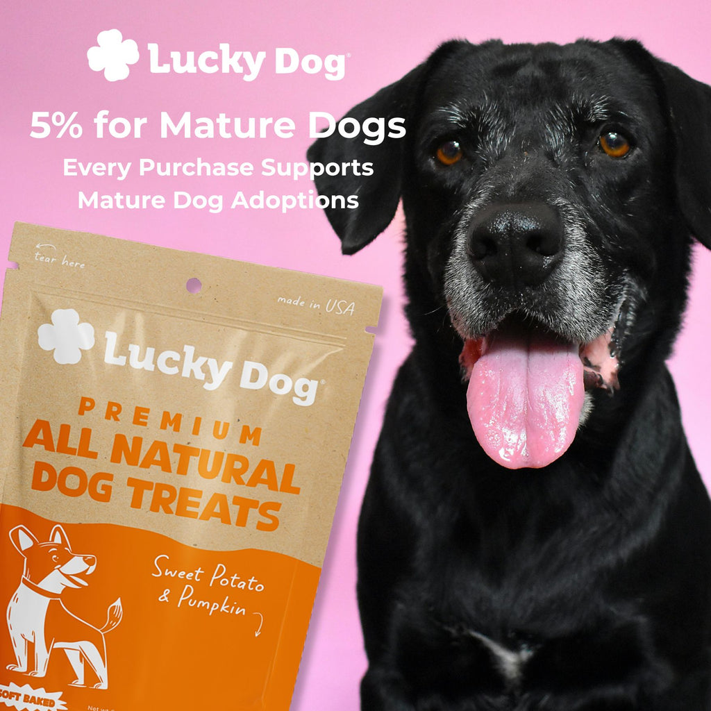 Lucky Dog® Soft Baked Sweet Potato & Pumpkin Dog Treats (3-Pack Bundle)