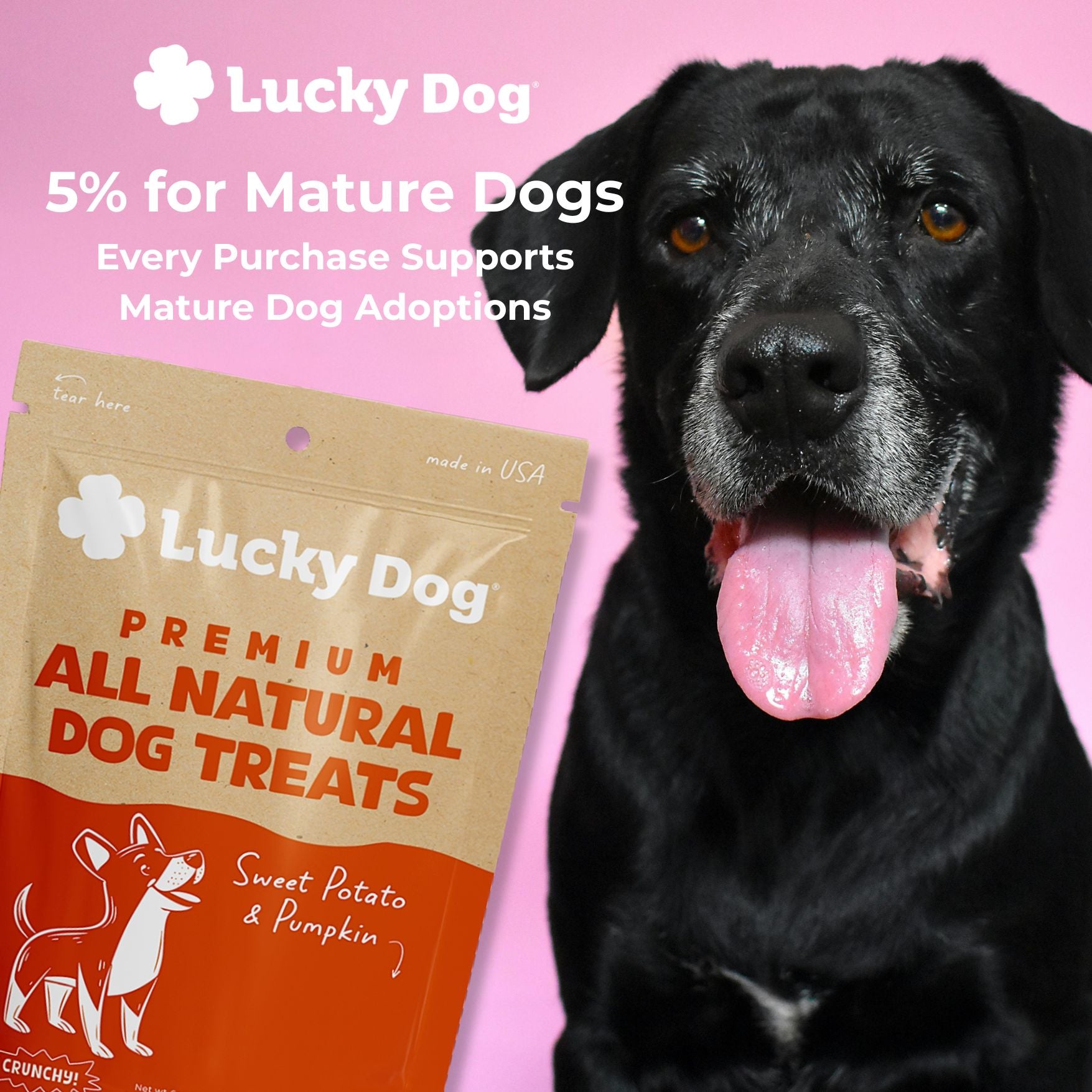 Lucky Dog® Crunchy Sweet Potato & Pumpkin Dog Treats