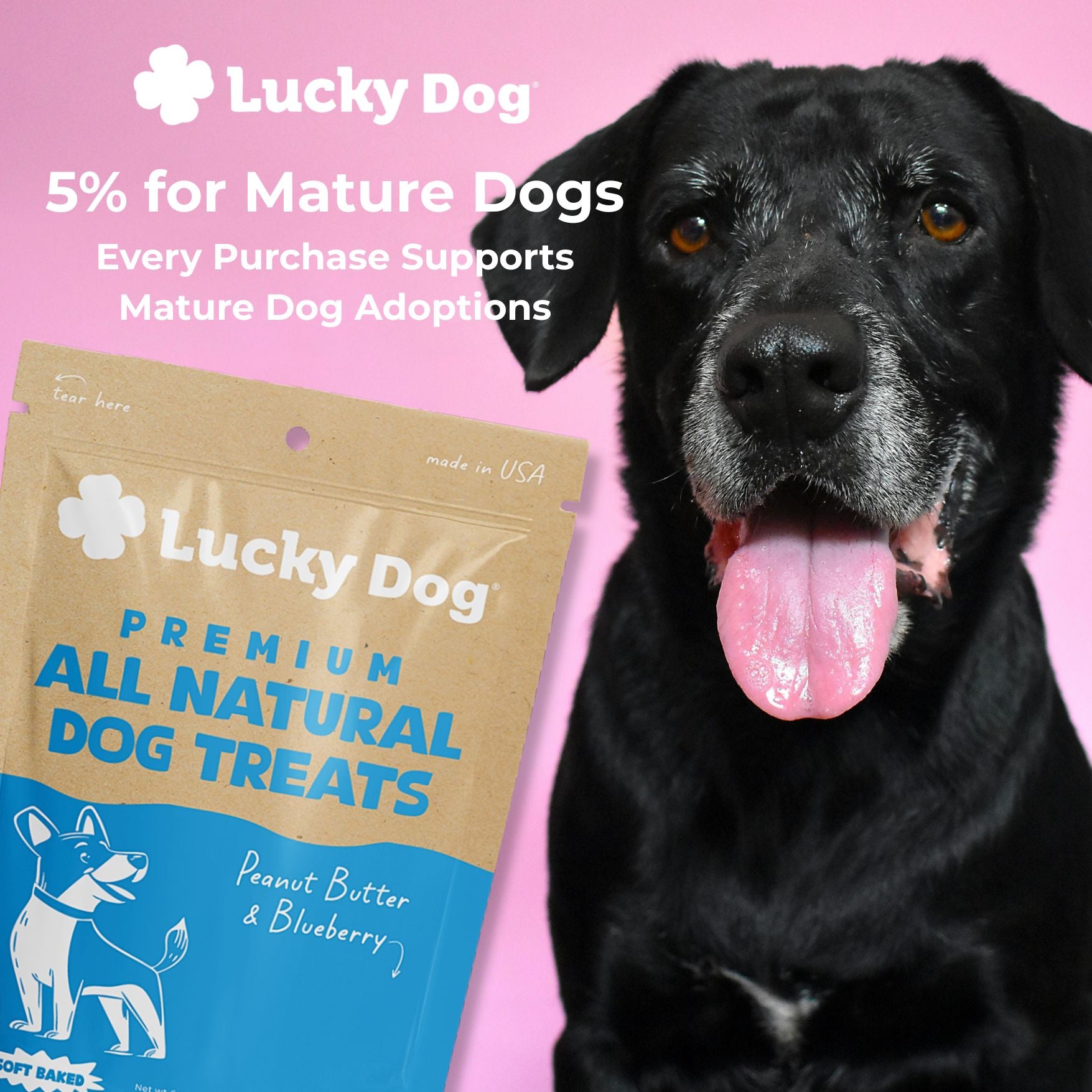 Lucky Dog® Soft Baked Peanut Butter & Blueberry Dog Treats