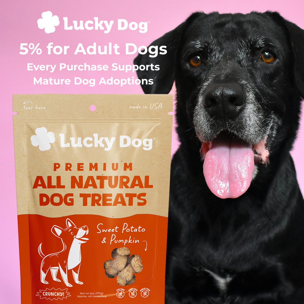 Lucky Dog® Crunchy Sweet Potato & Pumpkin Dog Treats
