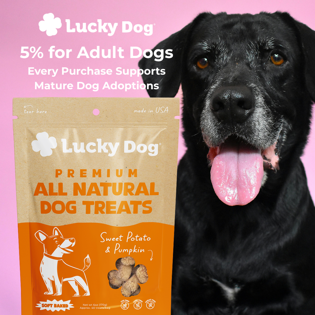 Lucky Dog® Soft Baked Sweet Potato & Pumpkin Dog Treats