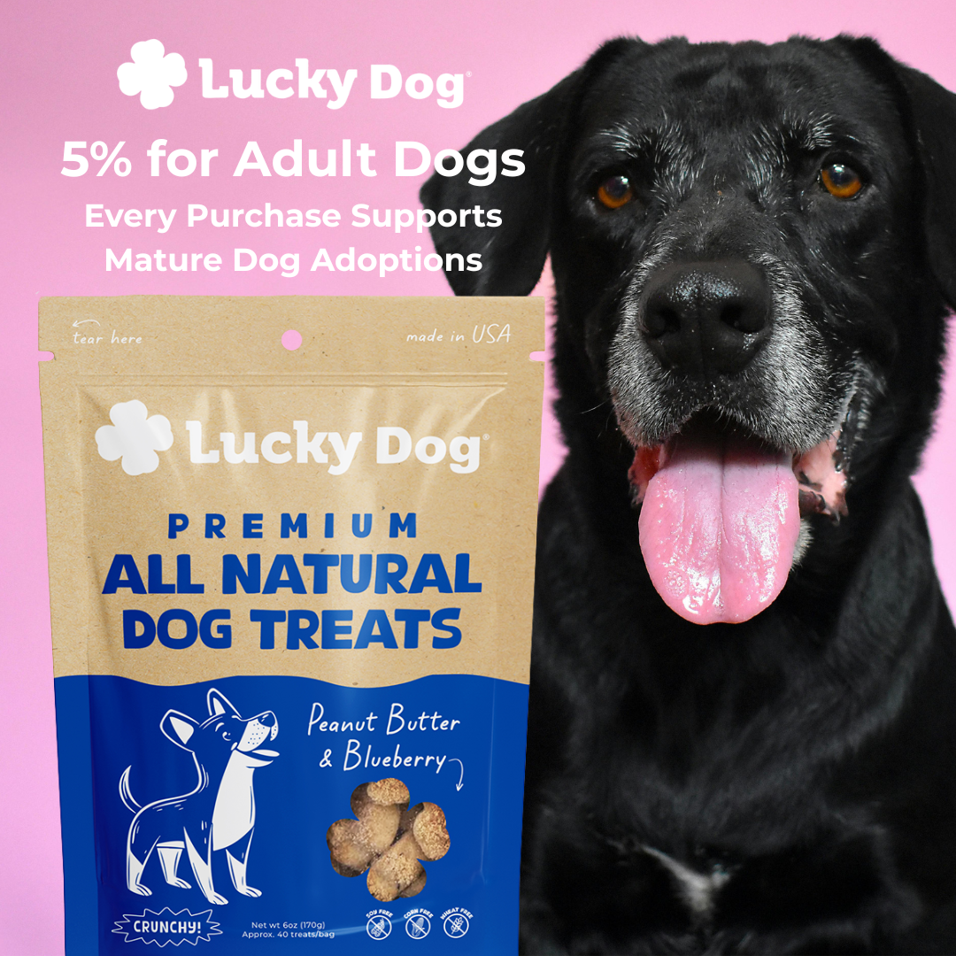 Lucky Dog® Crunchy Peanut Butter & Blueberry Dog Treats