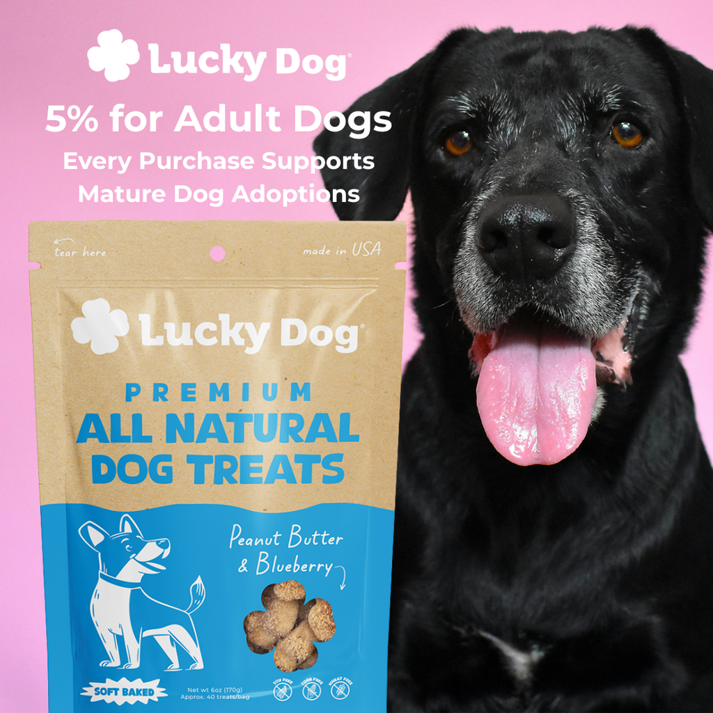 Lucky Dog® Soft Baked Peanut Butter & Blueberry Dog Treats