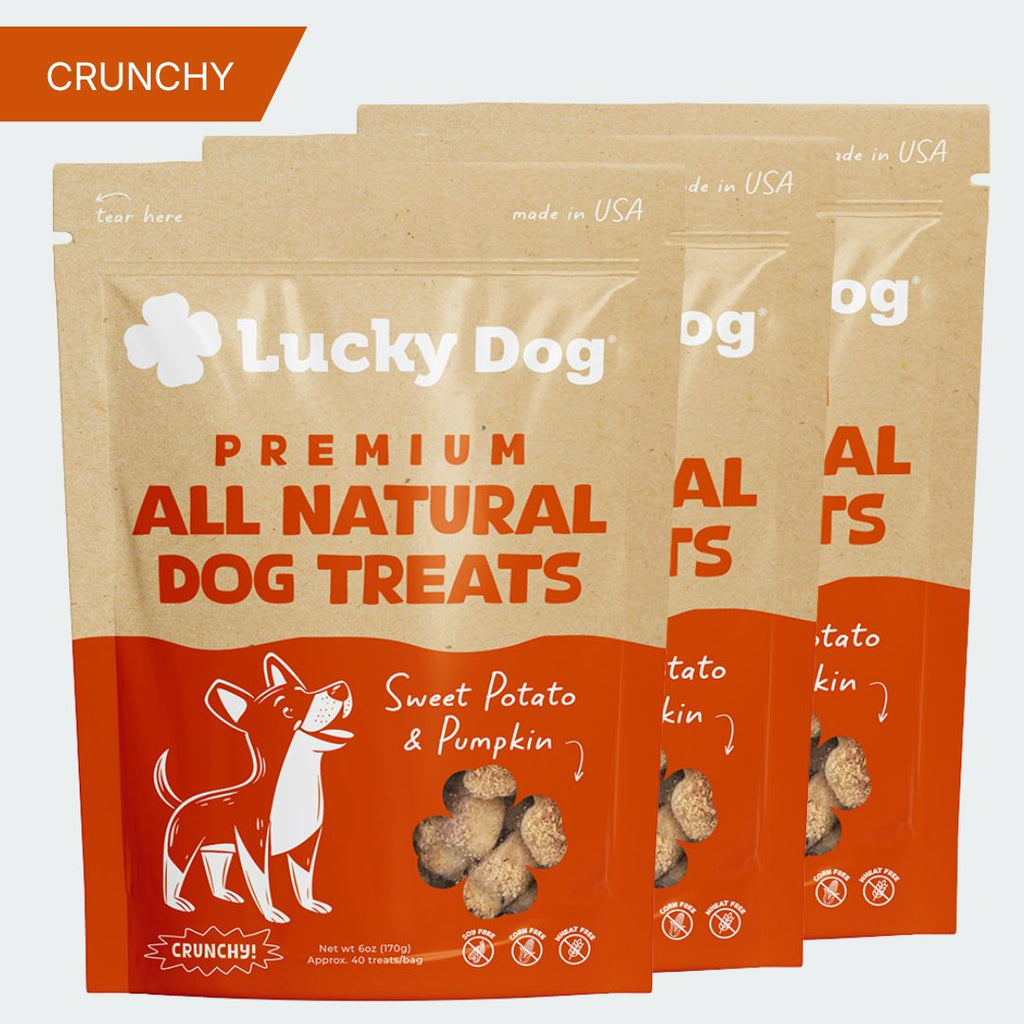 Lucky Dog® Crunchy Sweet Potato & Pumpkin Dog Treats (3-Pack Bundle)