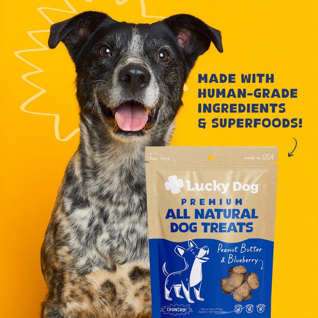 Lucky Dog® Crunchy Peanut Butter & Blueberry Dog Treats (3-Pack Bundle)