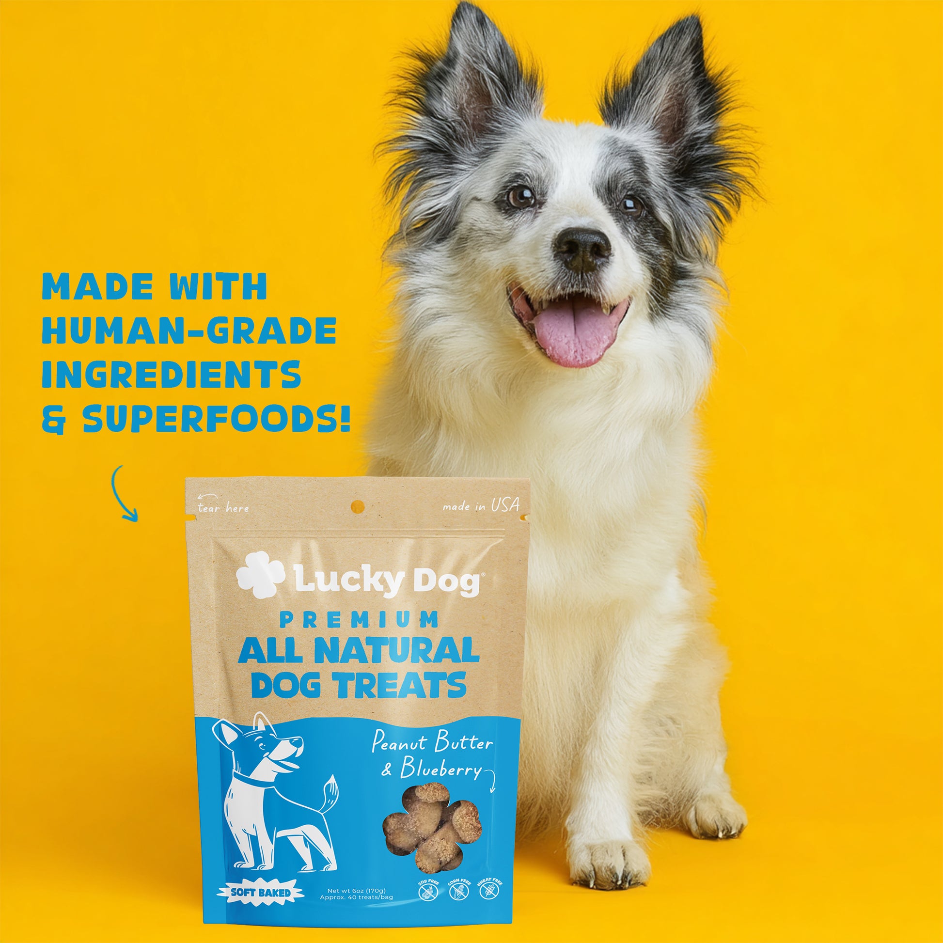 Lucky Dog® Soft Baked Peanut Butter & Blueberry Dog Treats (3-Pack Bundle)