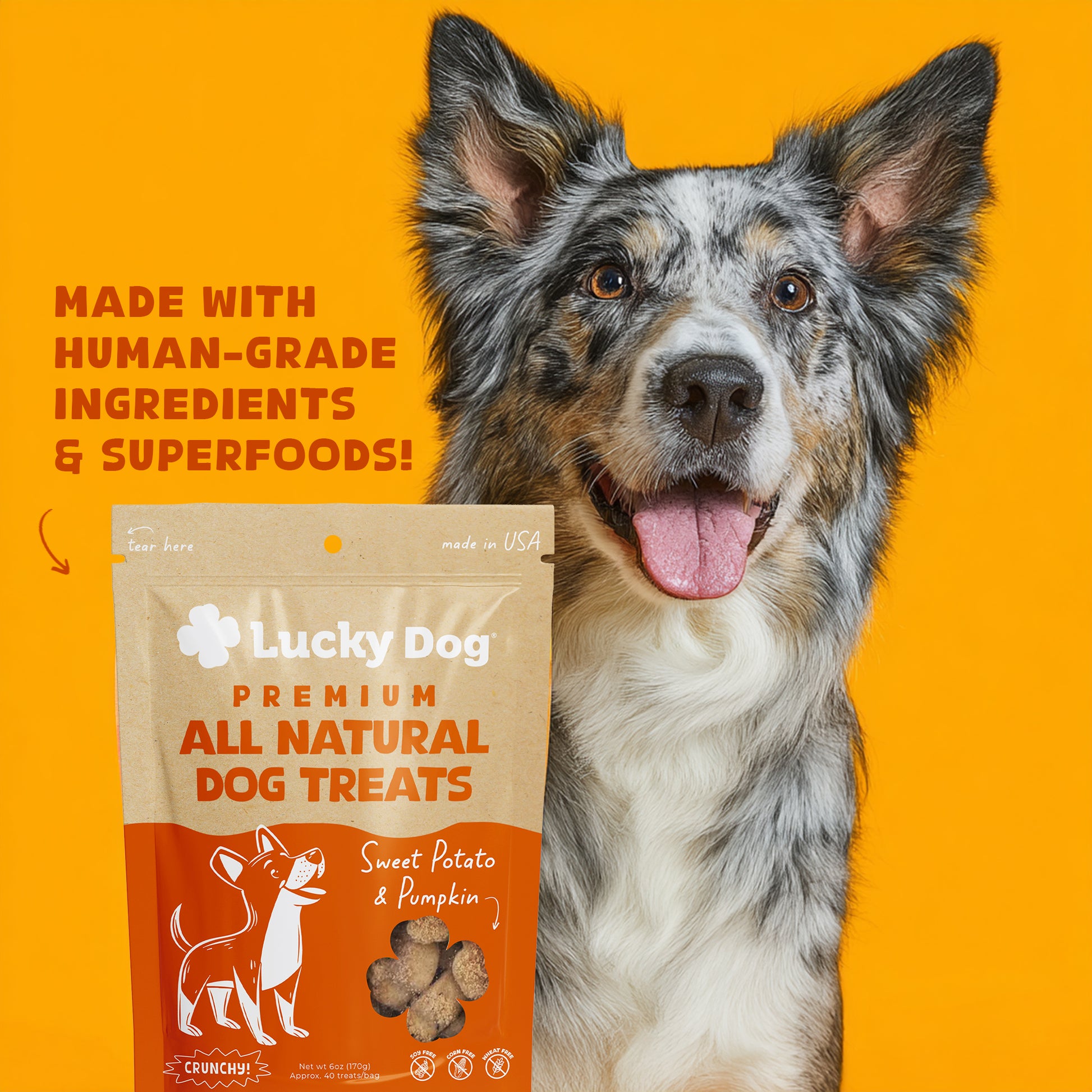 Lucky Dog® Crunchy Sweet Potato & Pumpkin Dog Treats (3-Pack Bundle)
