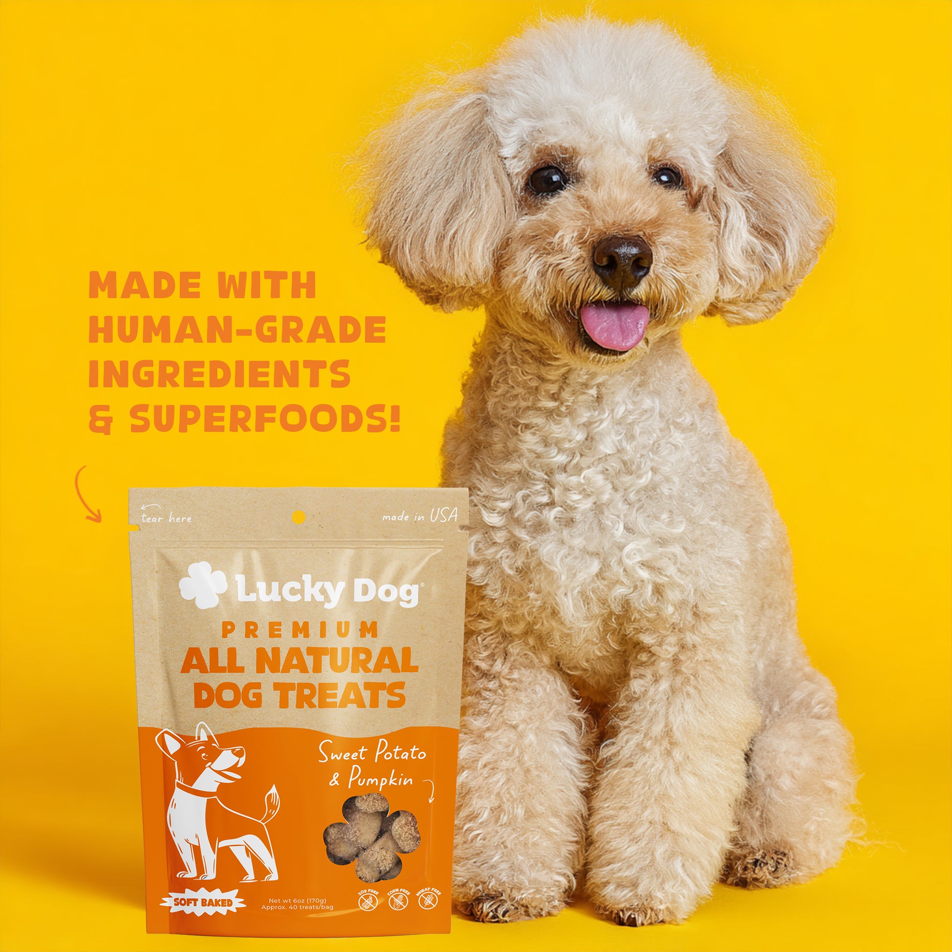 Lucky Dog® Soft Baked Sweet Potato & Pumpkin Dog Treats (3-Pack Bundle)