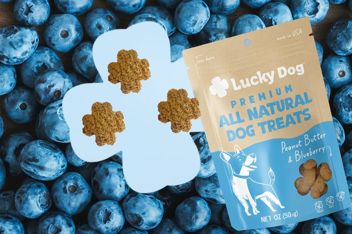 Lucky Dog Shop